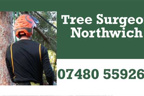 Tree Surgeon Carrington