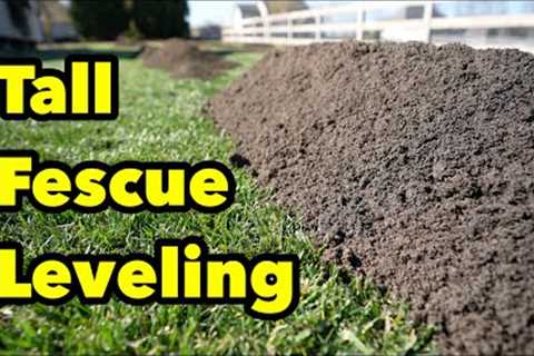 Tall Fescue Lawn Sand Compost Leveling Can It Be Done?