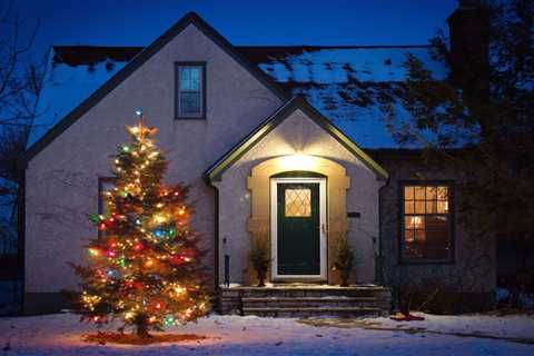 Guide To Outdoor Christmas Trees