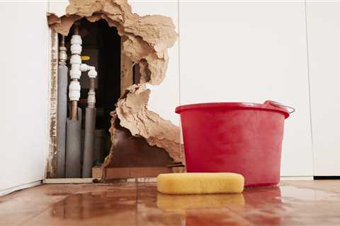 How to Go About Repairing Water Damage in Your Home