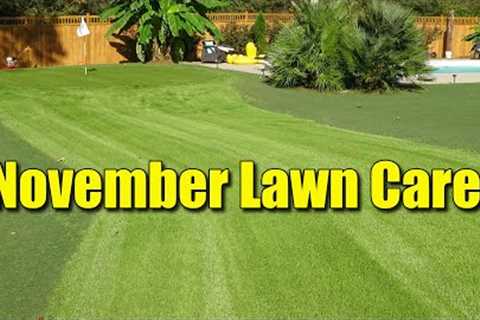 November Late Fall Lawn Care