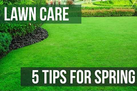 5 Spring Lawn Care Tips to Keep Your Lawn Green