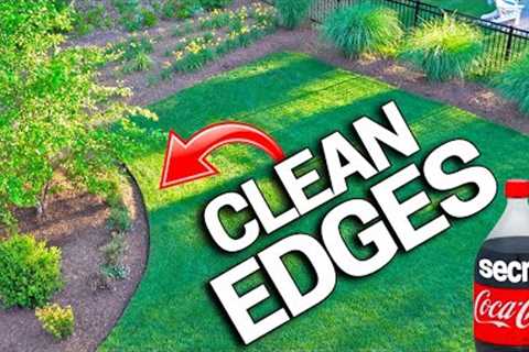 How To Have CLEAN EDGES in a LAWN - Trimmer SECRETS Revealed