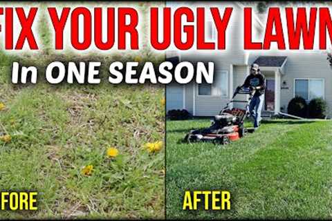 Fix An Ugly Lawn In ONE SEASON Without Seeding Or Overseeding