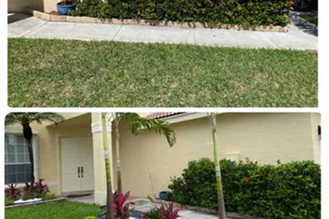 EPS Landscaping & Tree Service Offers Landscape Installation and More in Broward County