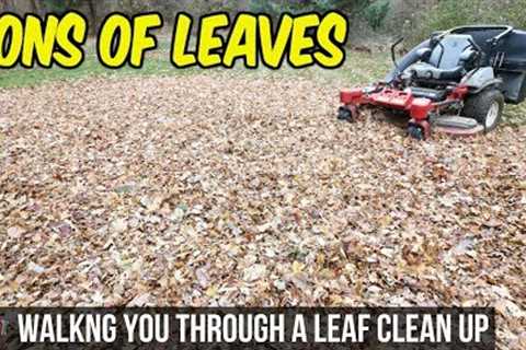 How To Do A Fall Leaf Clean Up - $145 In 1.5 Hours, Bagging Leaves | Simple Basic Clean Up