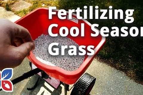 How to Fertilize Cool Season Grass - Lawn Care Tips | DoMyOwn.com