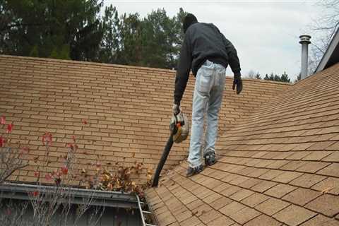 Should you clean the roof of your house?