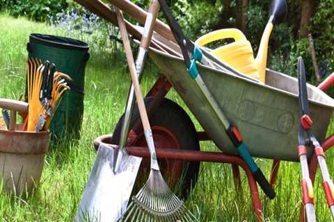 What is the importance of cleaning the yard?
