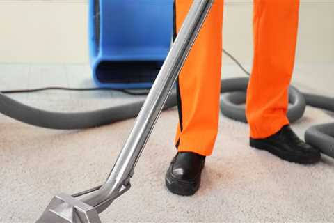 Is carpet cleaning solution toxic?