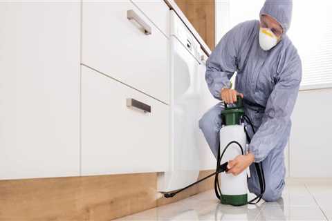 How does pest control work in apartments?
