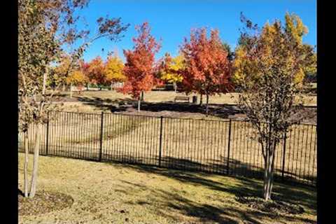 Fall Lawn Care 2022.  Why I don''''t mulch my leaves.