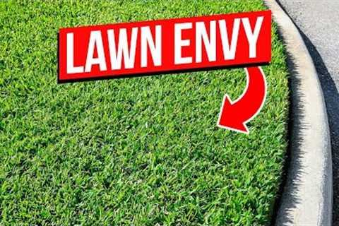 Spring Lawn Care Tips for St Augustine and Centipede Grass