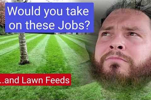 Garden Maintenance || Would you take on these jobs? PLUS Lawn Feeds