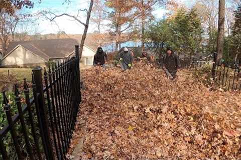 Leaf CLEANUP Army Can''t be STOPPED Insanely FAST leaf Cleanup