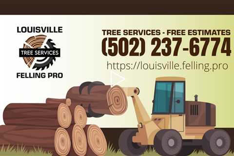 Tree Service Newburg Kentucky - Louisville Felling Pro