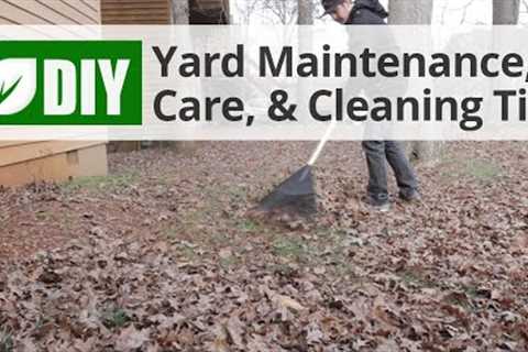 Yard Maintenance, Care, & Cleaning Tips | DoMyOwn.com