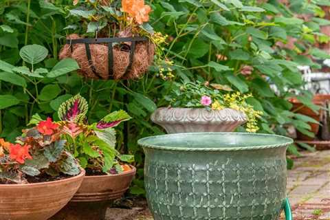 Honor Your Eco-Friendly Resolutions With These Gardening Sales