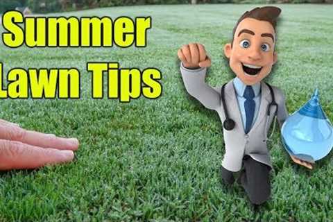 Summer Lawn Care Tips