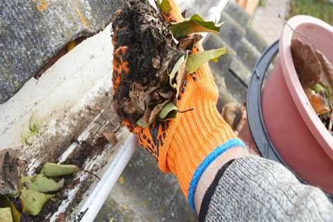 How Gutter Cleaning Can Cause Electrical Damage