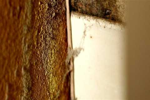 What happens during mold removal?