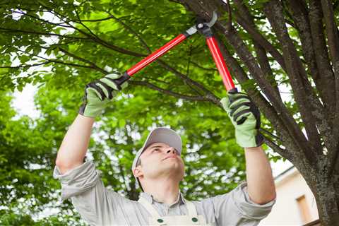 Ten Bad Tree Pruning Mistakes to Avoid