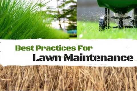 Lawn maintenance suggestions for beginners | Lawn care tips for beginners | Lawn care program detail