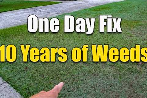 How to Fix an Ugly Lawn - Killing Lawn Weeds