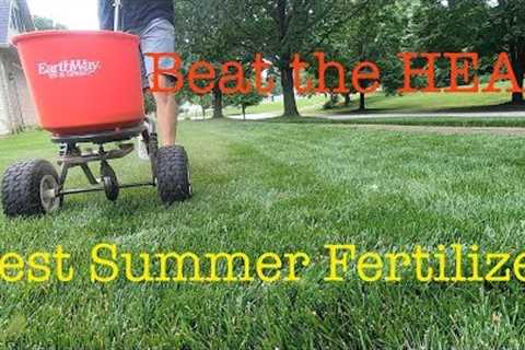 How to get your yard ready for summer | summer lawn tips