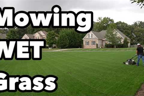 Mowing a Lawn When It Rains A LOT | Tips and Tricks