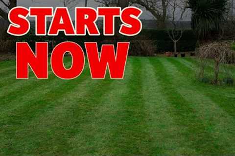 IS IT SPRING YET? ....Get your lawn READY!