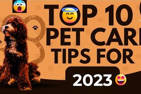 Top 10 Pet Care Tips Must Know For 2023 | Tim''s Adventures