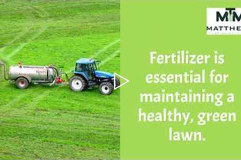 Lawn Fertilization Augusta GA - Matthews Turf Management