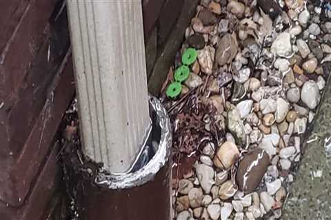 Can Clogged Gutter Damage My Plumbing?