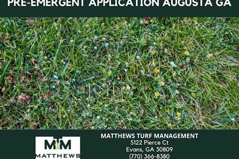 Matthews Turf Management Is Offering Pre Emergent Application Services For Weed Control In Augusta, ..
