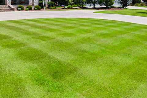 Matthews Turf Management