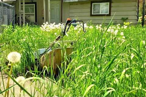 Tall Grass Takes Over Property | Let''s Clean This Mess Up!