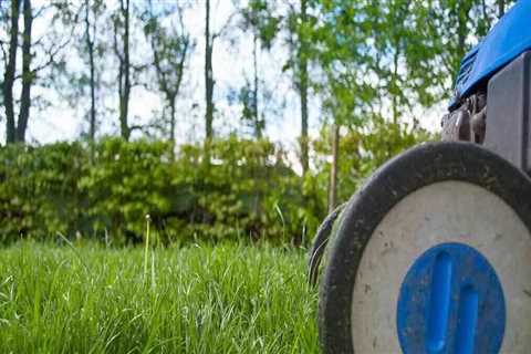 A Guide to  Beginners Lawn Care for your Home