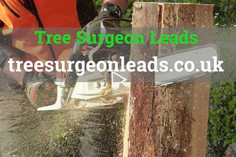 Free Tree Surgeon Leads Tree Service Leads Calling You Direct 3 Free Tree Surgery Leads