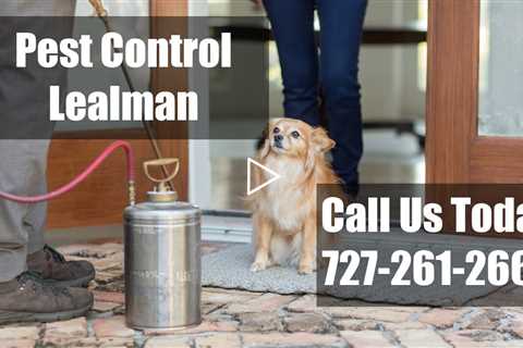 Exterminator  Lealman Florida  - Residential Pest Control 24 Hour Bed Bug Control & Termite Control