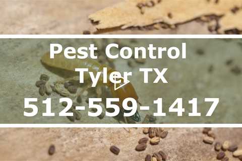 Pest Control  Tyler Texas  - Domestic Exterminator 24 Hr Bed Bug Treatment & Termite Control
