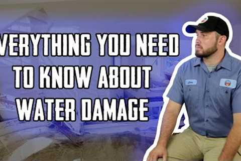 Everything You Wanted To Know About Water Damage Restoration & Mitigation