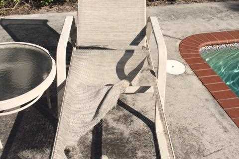 Patio Furniture: Repair your old set or buy a new one?