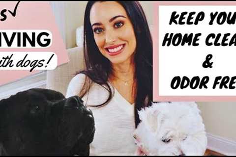 KEEPING YOUR HOUSE CLEAN WITH DOGS | TIPS FOR LIVING WITH PETS