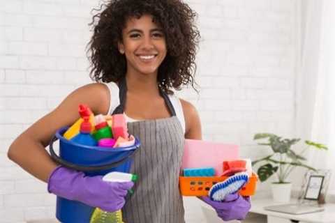 Cleaning Supplies Checklist For Apartment
