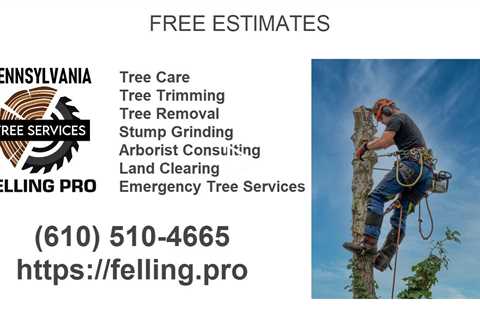Tree service West Chester , Pennsylvania - Felling Pro