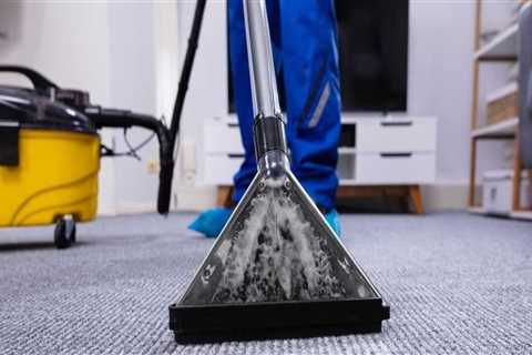 What carpet cleaner do professionals use?