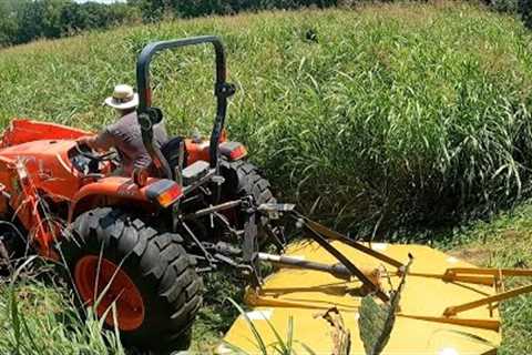 GRASS SO OVERGROWN I Couldn''t Use A Regular LAWN MOWER