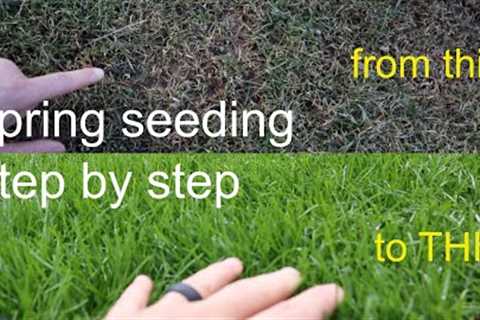 How to GROW GRASS in the SPRING successfully step by step