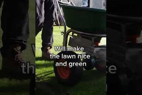 Use this CHEAP fertiliser to get an AMAZING GREEN lawn